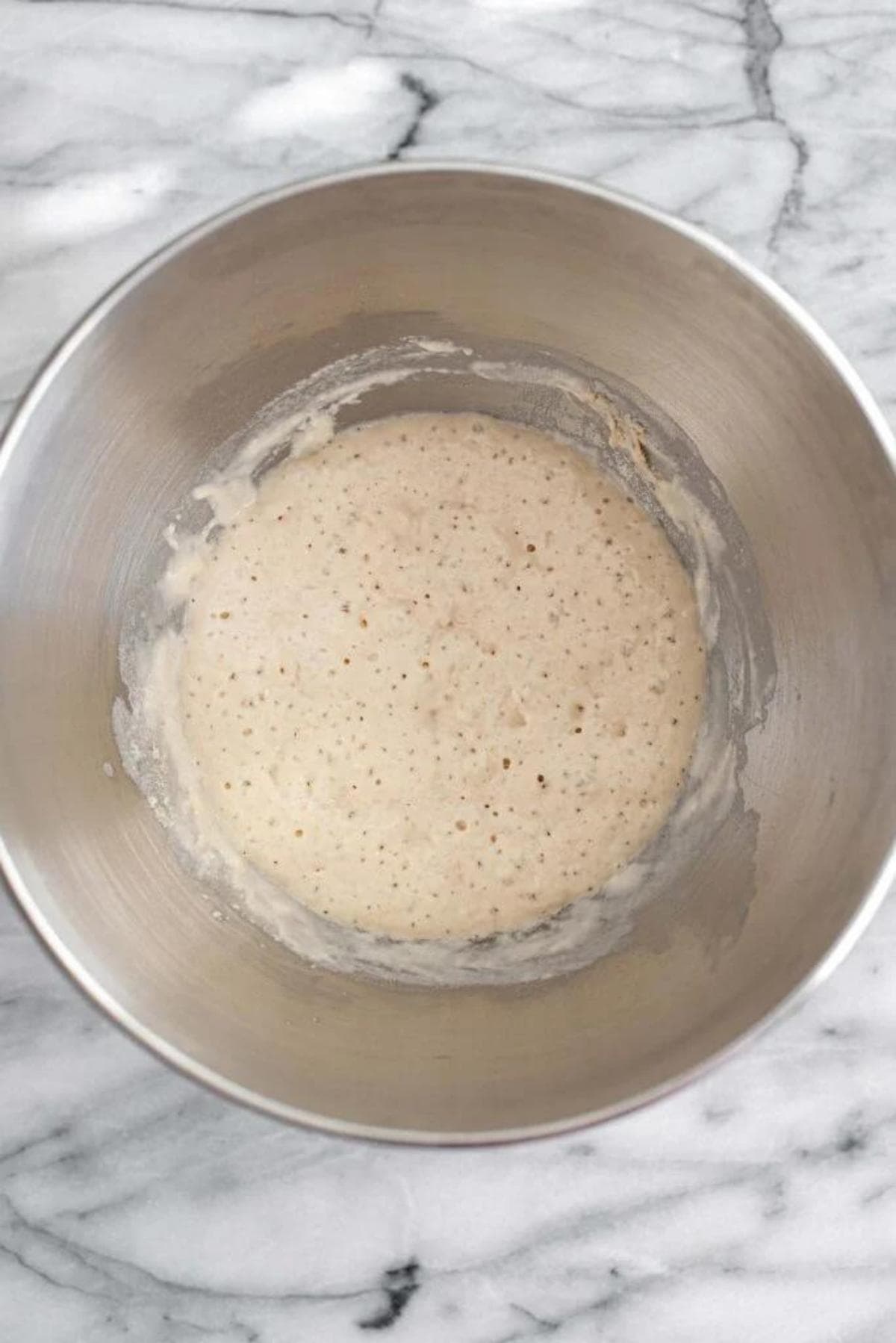 focaccia starter fermented in a silver mixing bowl.