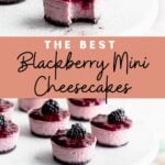 Blackberry cheesecakes on a marble cake stand