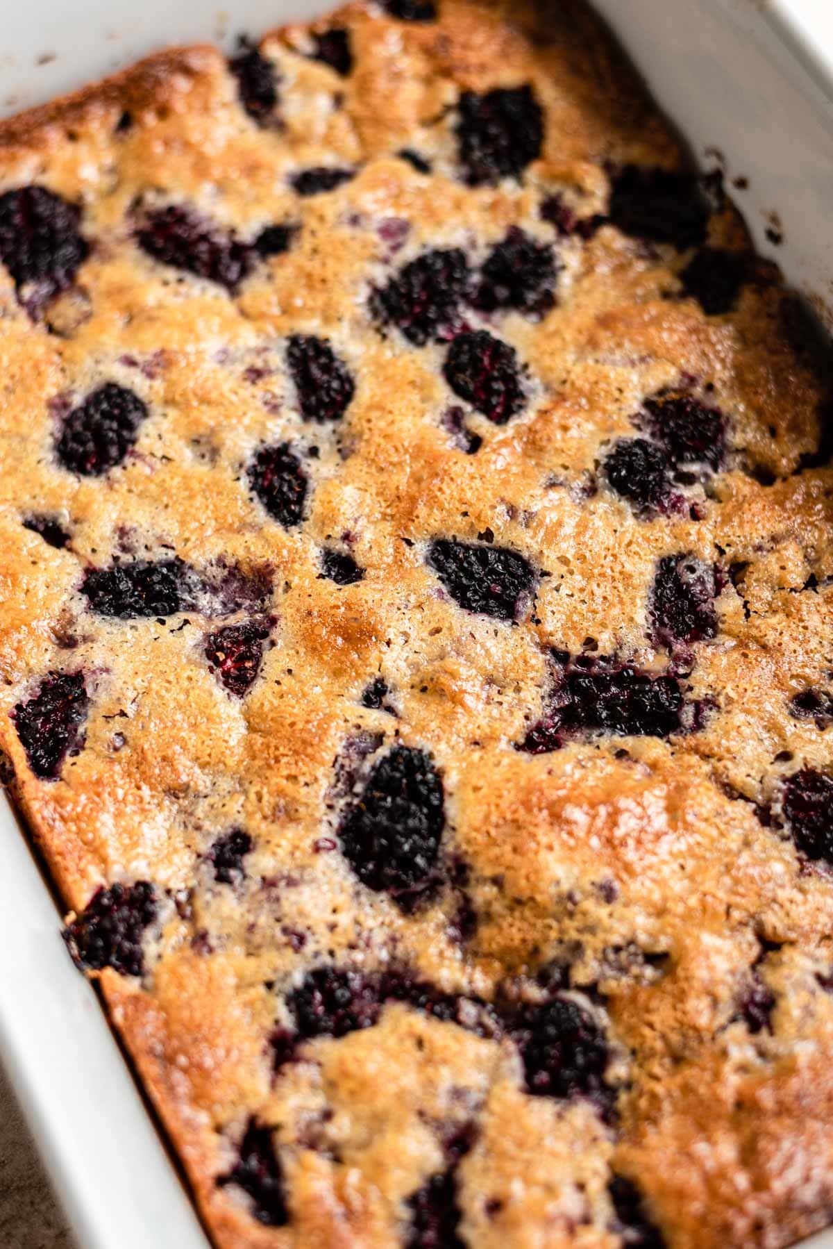 Finished blackberry cobbler in a white baking dish.