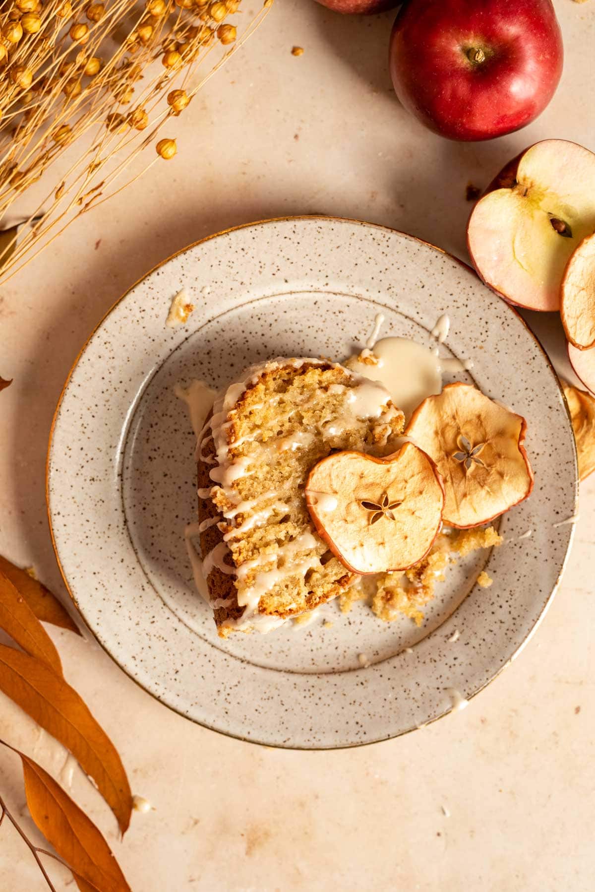 A slice of apple butter cake on a spekled plate with dried apple slices.