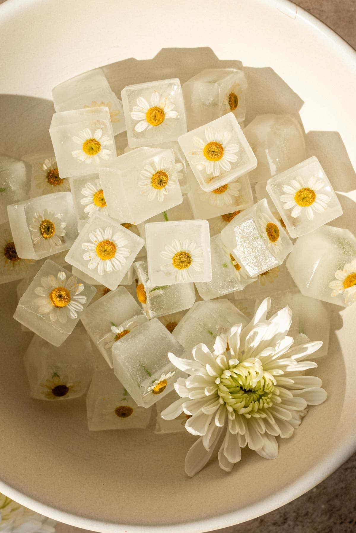 Ice with little flowers frozen in the cubes.