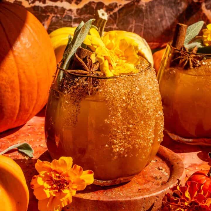 A pumpkin shaped glass fulled with the pumpkin cocktail and garnished with cinnamon, sage, and marigold.